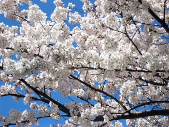 ベストライフ熱海