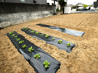 住宅型有料老人ホーム グループハウス三島谷田