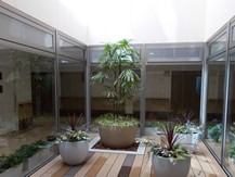 シニアコートあざれあ