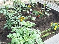 高齢者住宅ふじわのもり