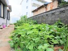 まーがれっと鎌田