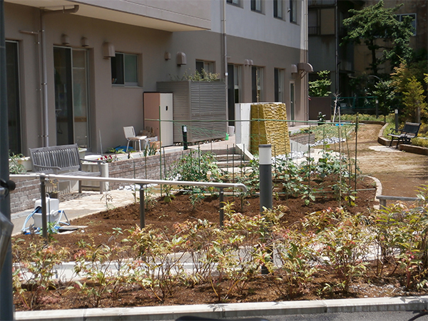 ゴールドエイジ藤枝