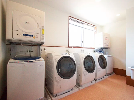 ゴールドエイジさくらんぼ藤枝