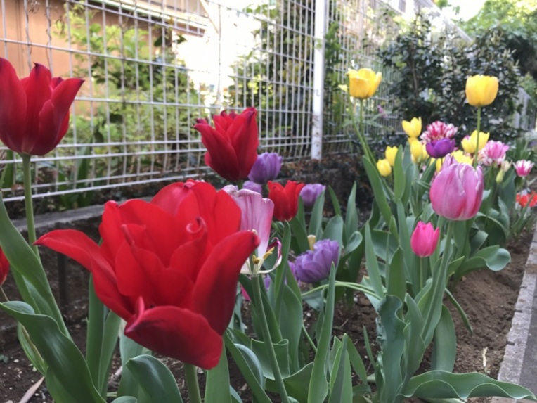 そんぽの家 東静岡