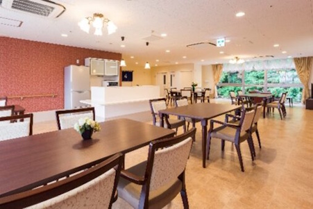 有料老人ホーム ペリデアネックス