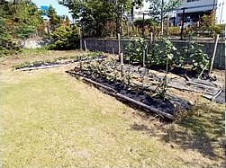 メディケアレジデンス湖西