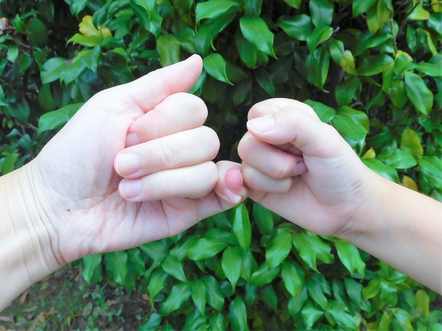 静岡老人ホーム紹介タウンYAYA_老人ホームの外出・外泊は基本可能