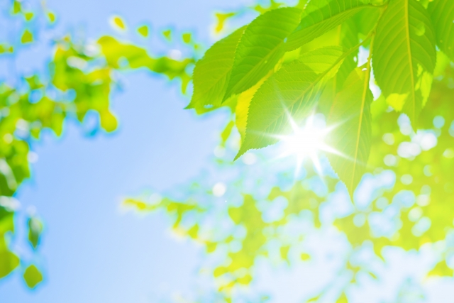 介護お役立ち情報