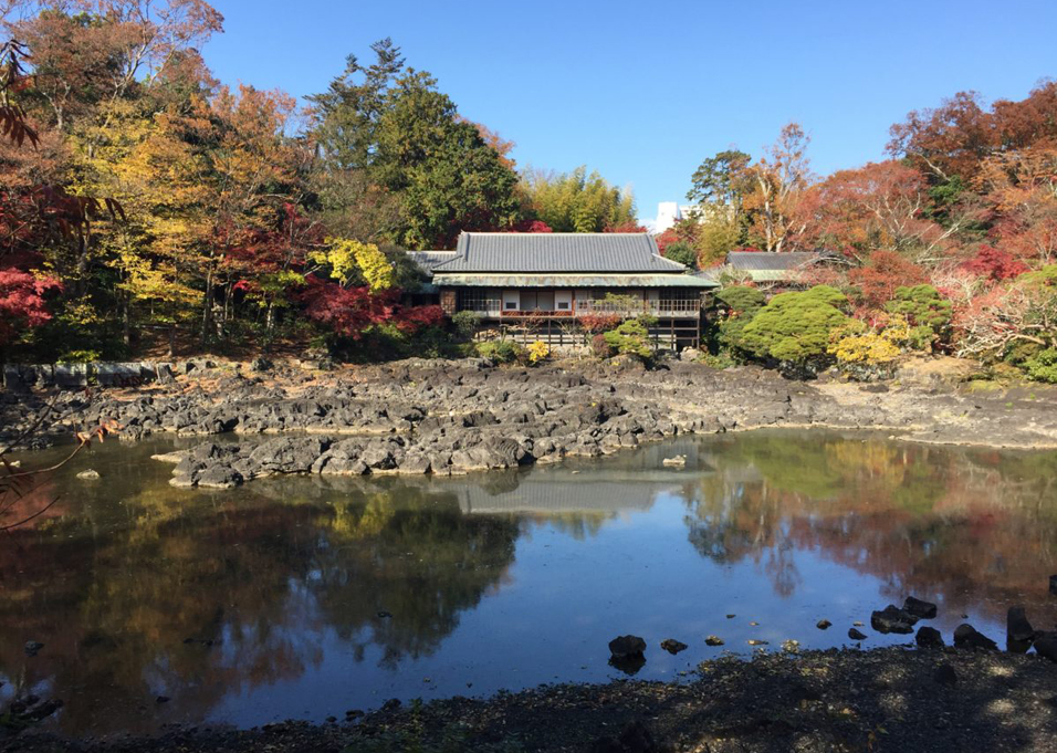 三島市立公園 楽寿園