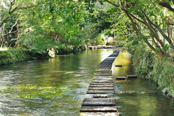 三島市ってこんな街