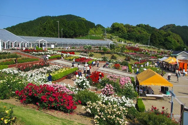 島田市ばらの丘公園