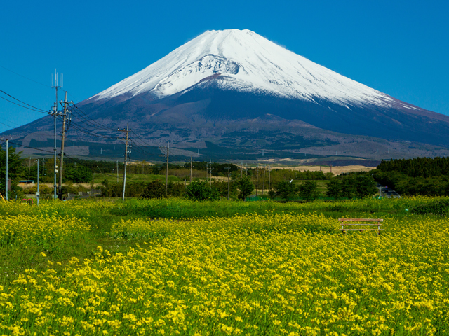 裾野市はこんな街