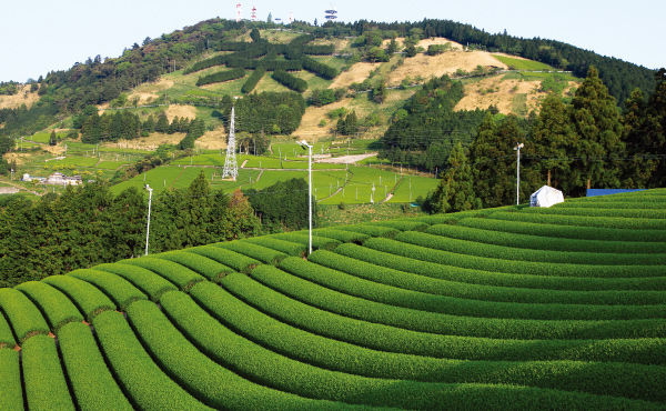 掛川市はこんな街