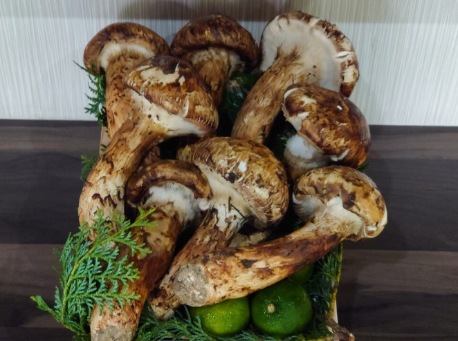 高級老人ホーム　静岡