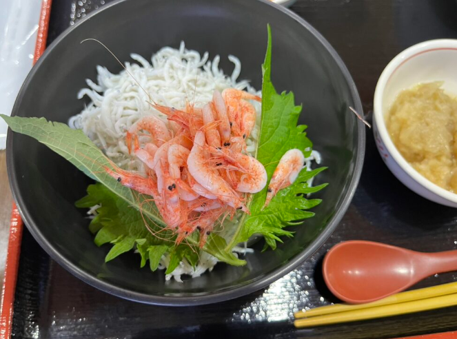 高級老人ホーム　静岡