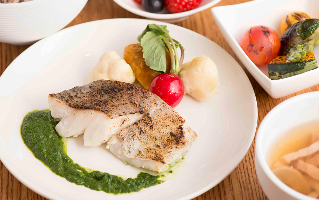 高級老人ホーム　静岡