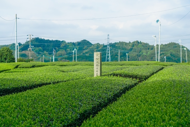 菊川市はこんな街