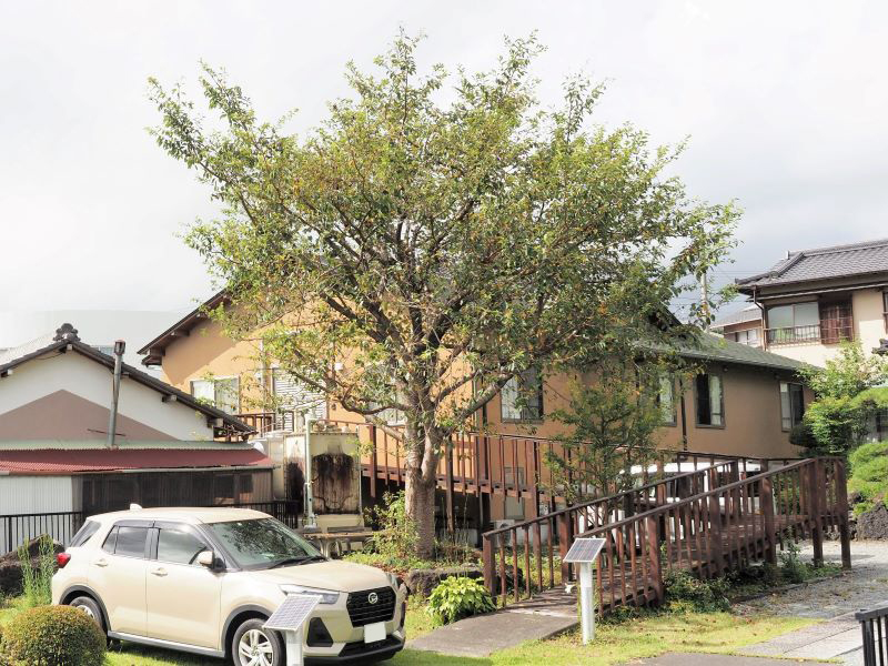 グループホーム 風